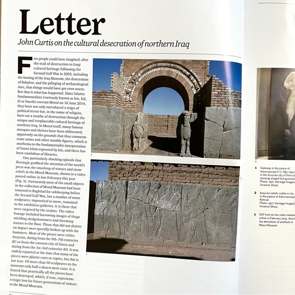 APOLLO - Picture 7 of 9